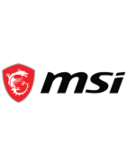 MSI